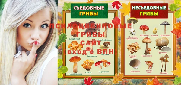тгк Магадан