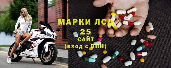 сатива Новодвинск