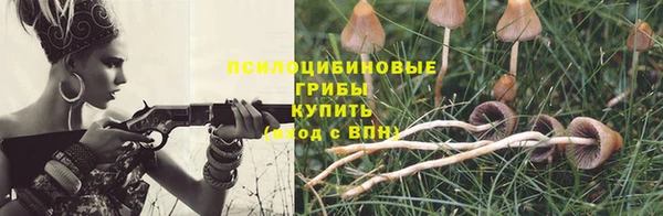 не бодяженный Медногорск
