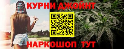 гидропоника Бийск