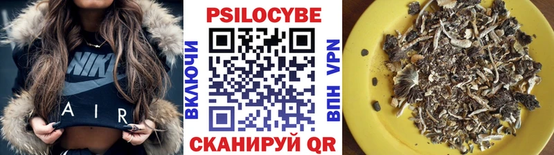 цена наркотик  Шали  Псилоцибиновые грибы GOLDEN TEACHER 