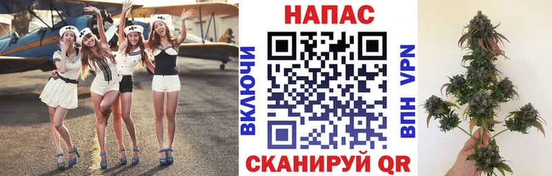 Бошки Шишки планчик  Шали 